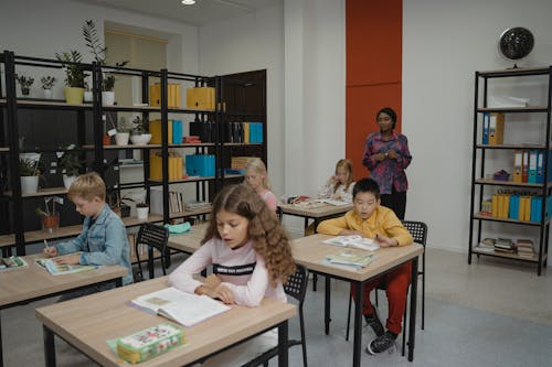 Fotos de stock gratuitas de aprendiendo, aprendizaje, aula