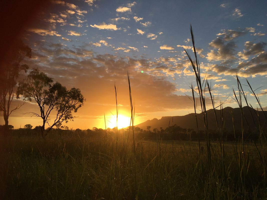 Working Holiday Visa 417/462: How to Get 35% of Your Super Back