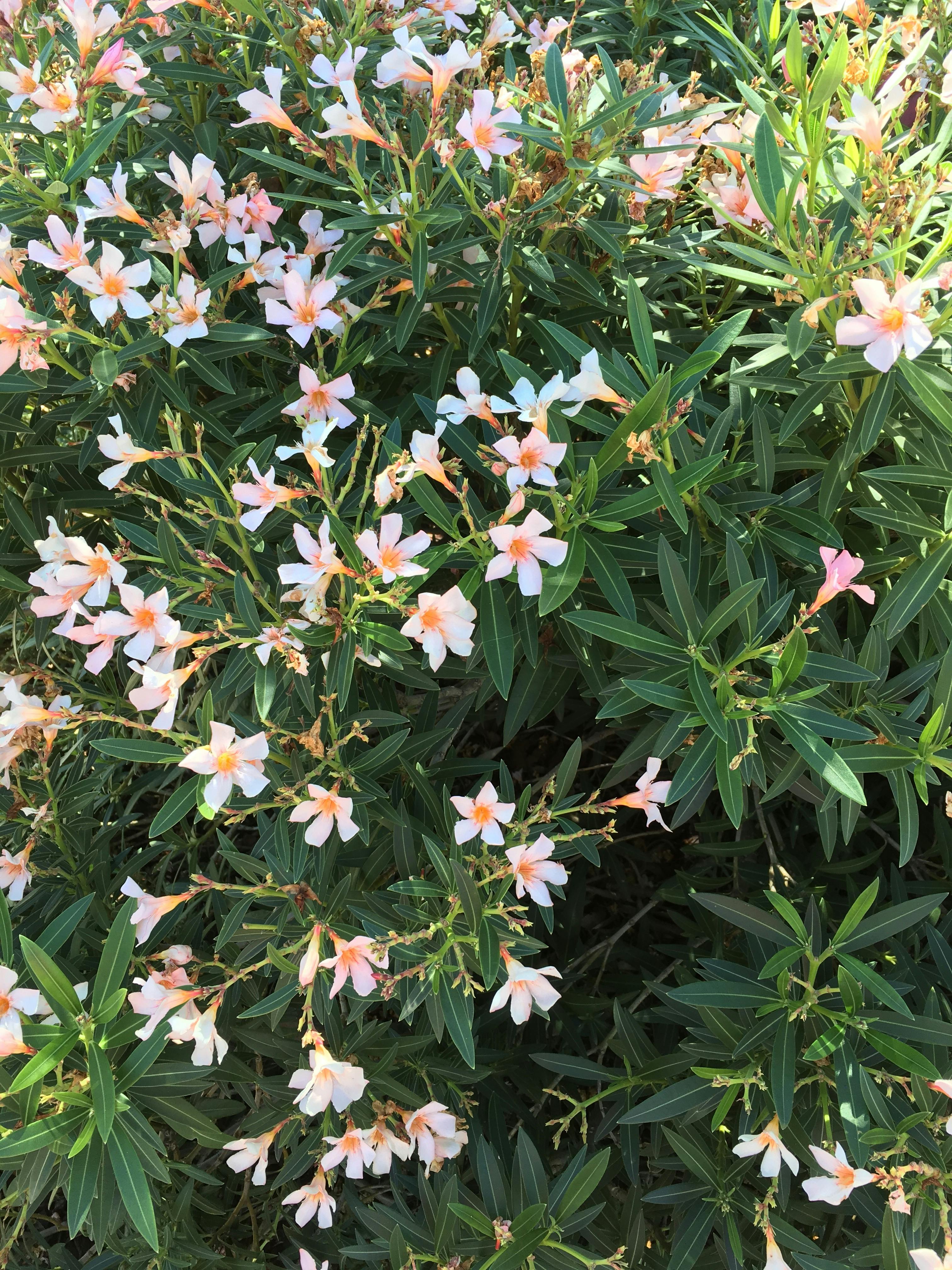 Difference Between Crash And Accident Difference