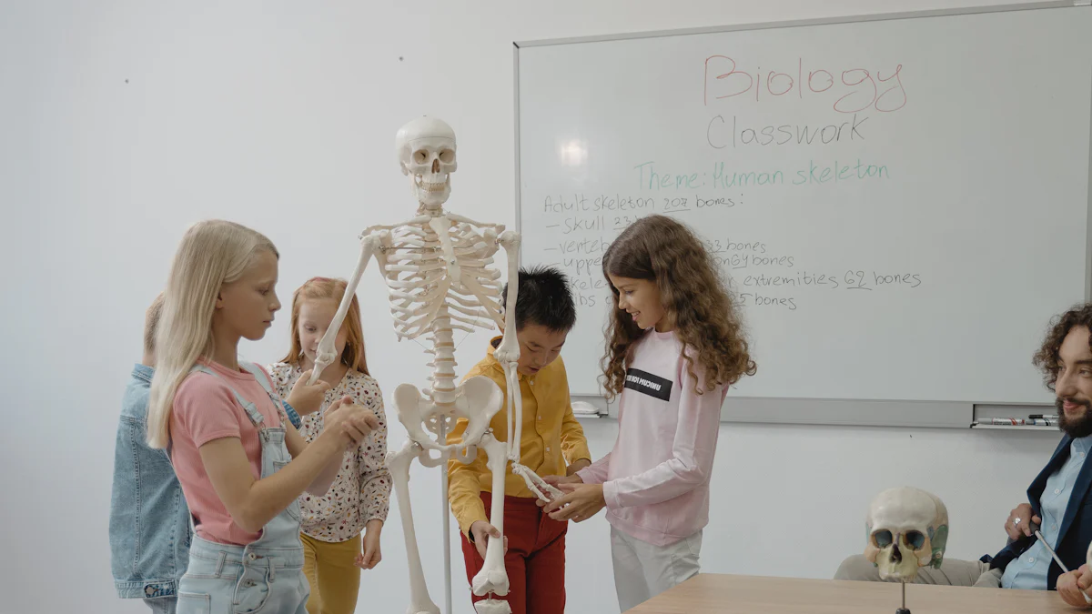 Kele & Partner : Votre partenaire encadrement de confiance à Montreux, Suisse