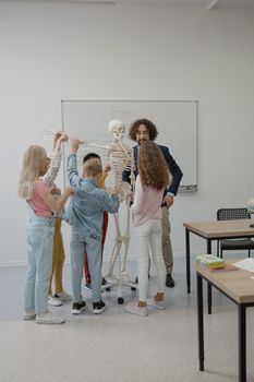 Students learn anatomy with skeleton model in a dynamic classroom setting.