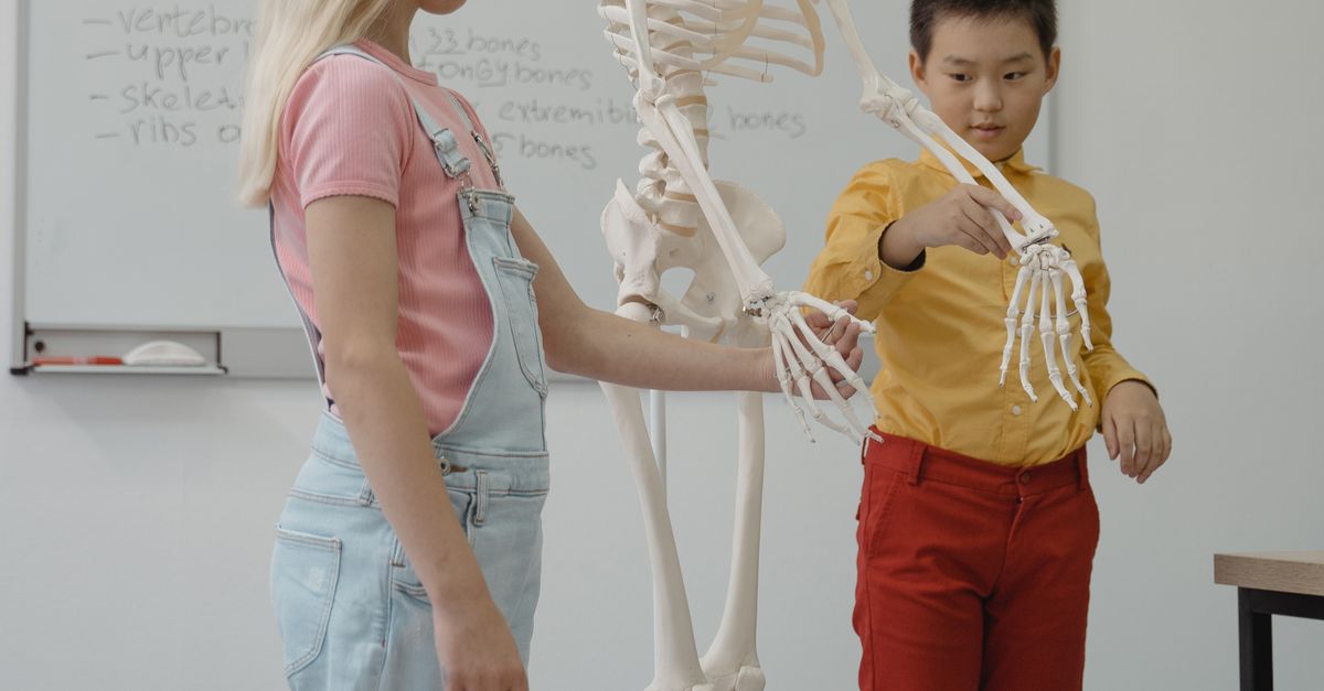 Órganos y huesos humanos cuya función sigue siendo un misterio para la ciencia Órganos y huesos humanos cuya función sigue siendo un misterio para la ciencia