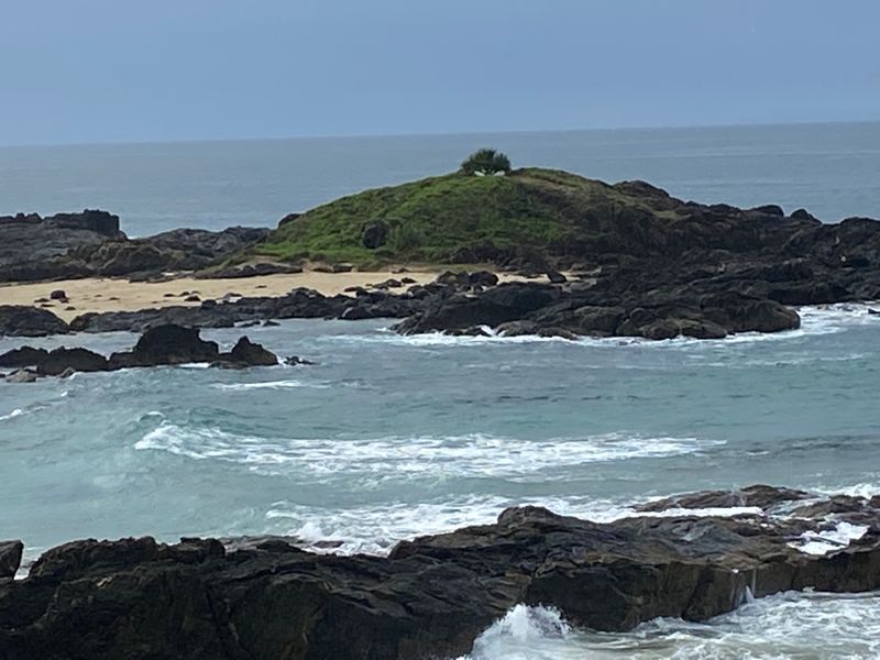 ノートパソコンで作業する様子