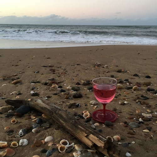 Free stock photo of beach, wine