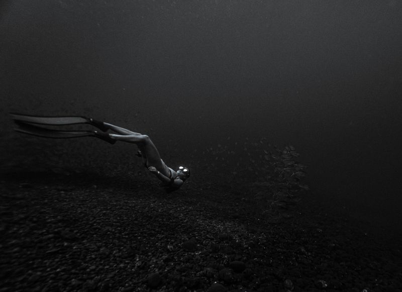 The Diver