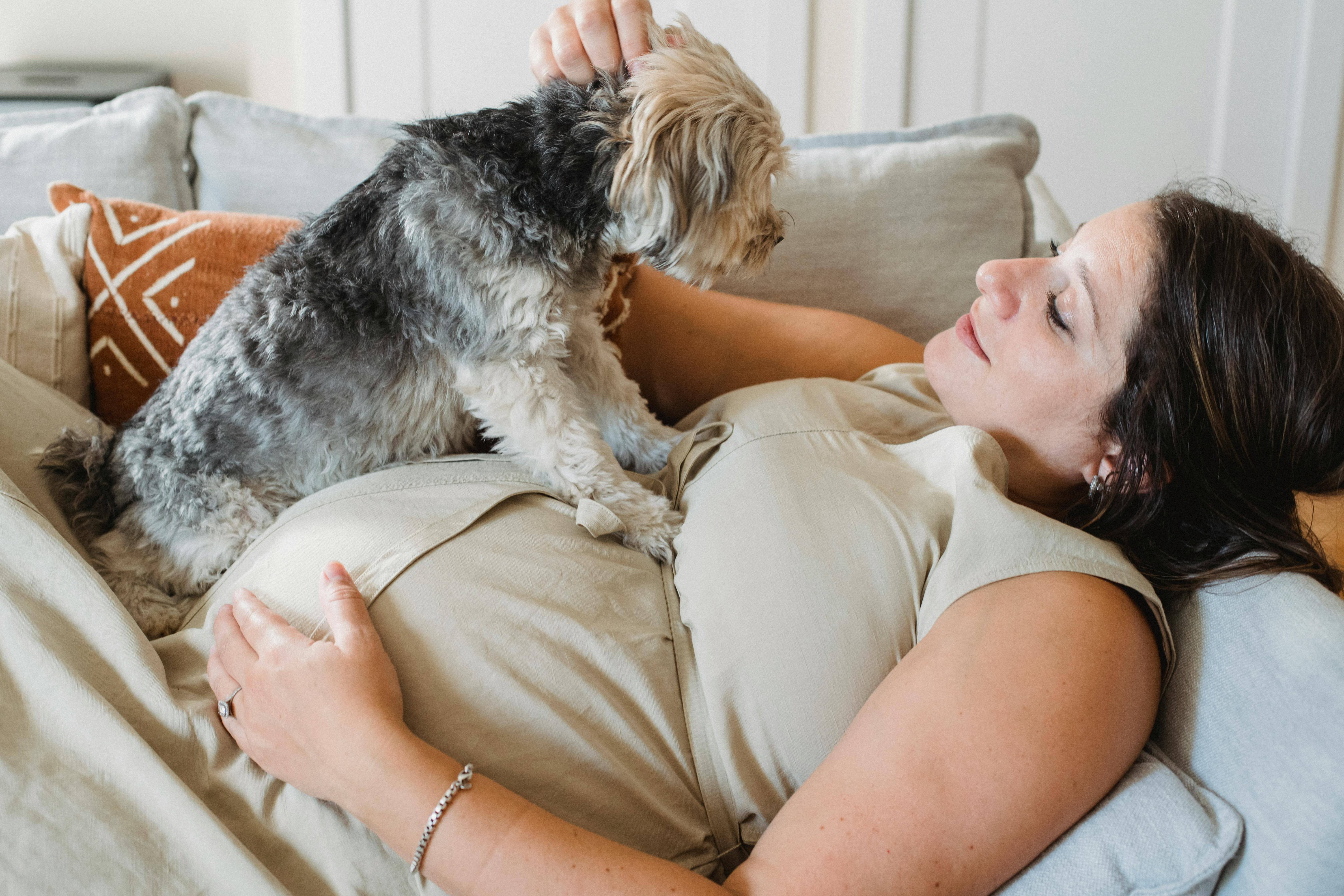 Happy pregnant woman stroking cute purebred dog while lying on couch · Free Stock Photo