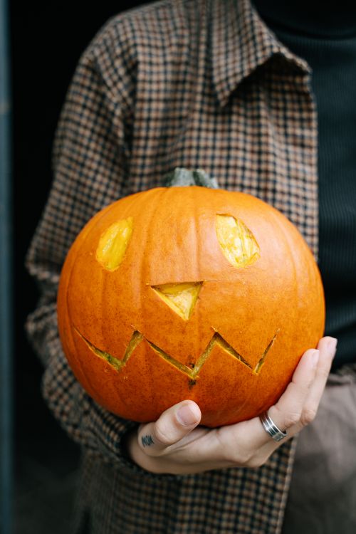 Free A person holds a carved jack-o'-lantern, ideal for autumn and Halloween themes. Stock Photo