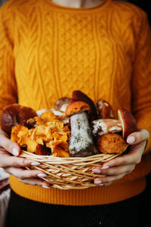 Person in an Orange Sweater Holding a Basket of Mushrooms