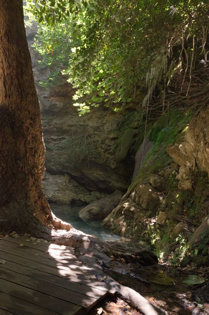 Serene view of a forest stream surrounded by rocks and trees in Kythira, Greece. Perfect for nature enthusiasts.