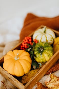 木托盘中装有迷你南瓜和树叶，构成优雅的秋季收获场景，非常适合秋季装饰