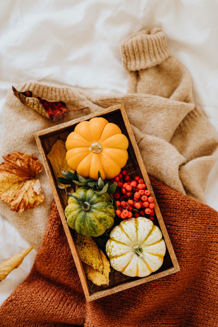A cozy autumn arrangement featuring pumpkins, fall leaves, and a knitted sweater for seasonal warmth.