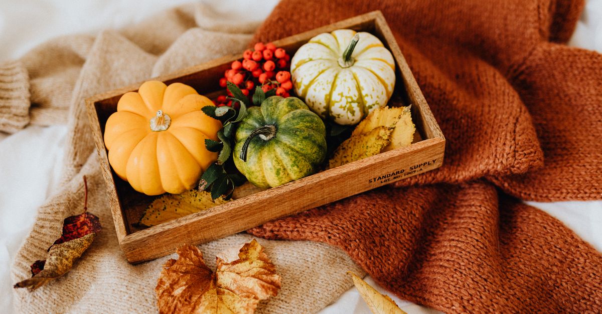 Guida all'outfit perfetto per l'autunno: consigli e suggerimenti