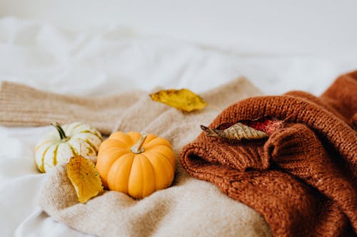 かぼちゃ, 編み物, 閉じるの無料の写真素材
