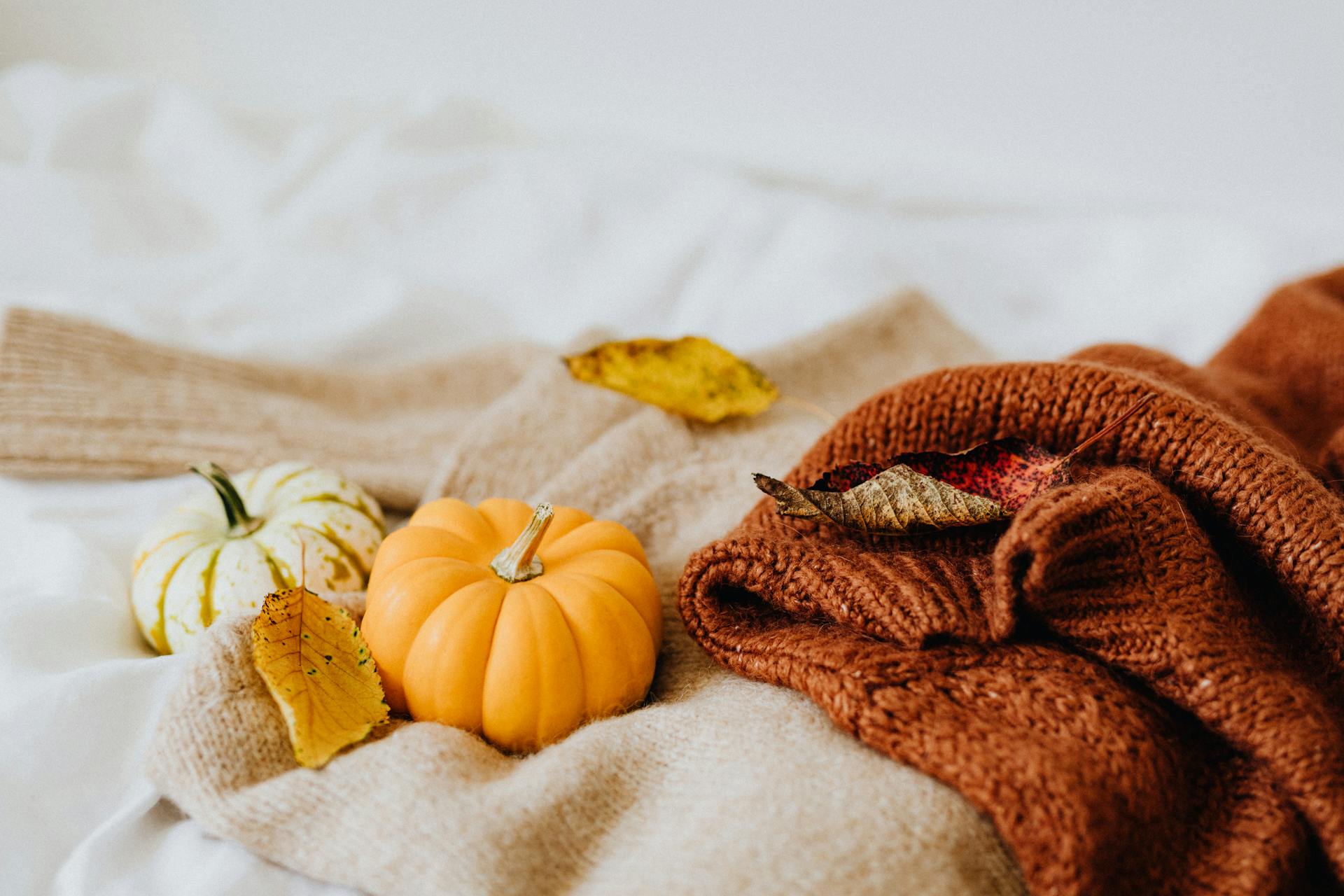 Close-up Photo of a Small Pumpkin on a Knitted Textile