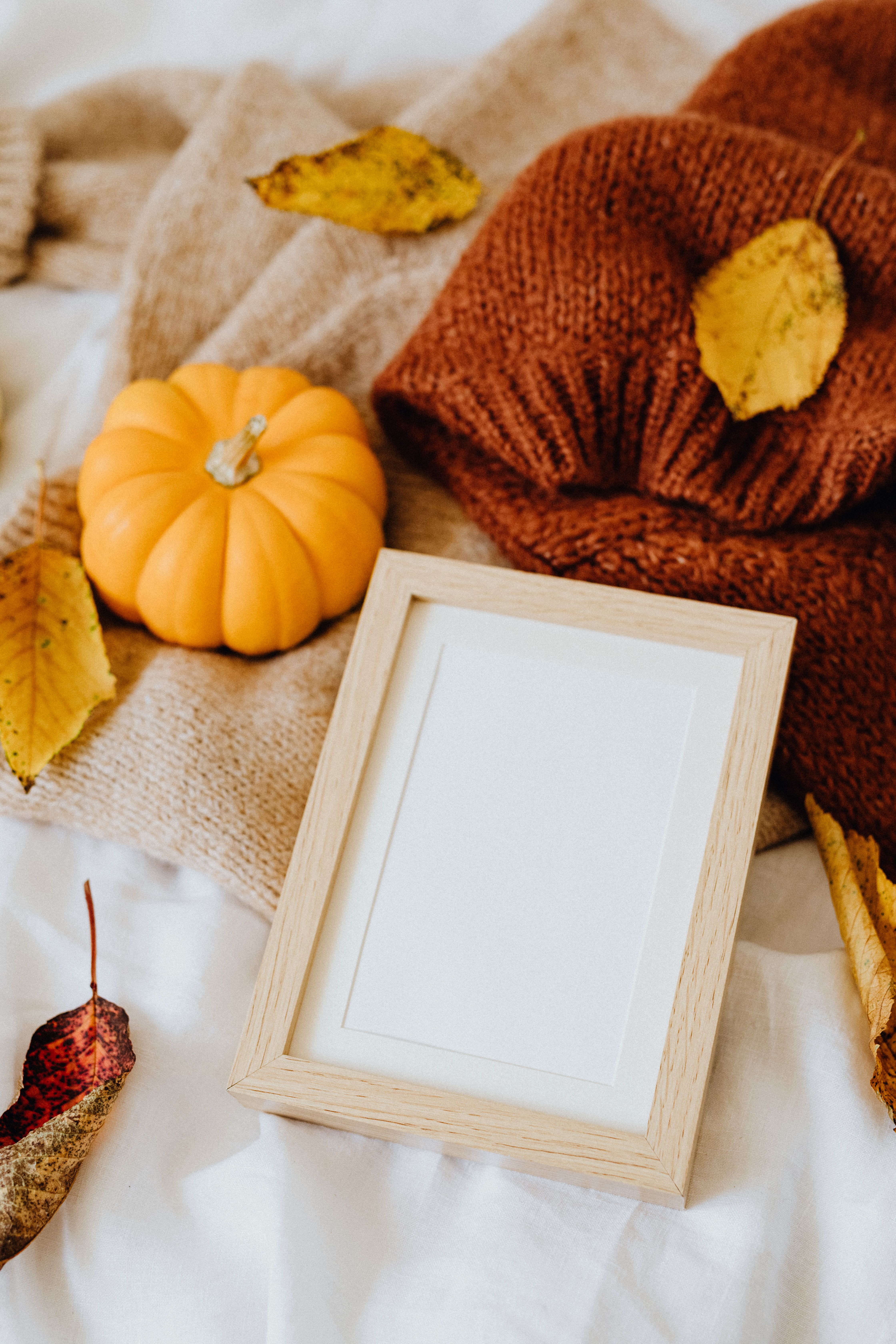 Wooden Frame on a Knitted Textile