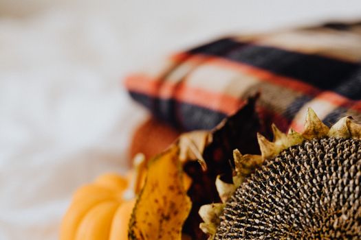 cozy autumn style