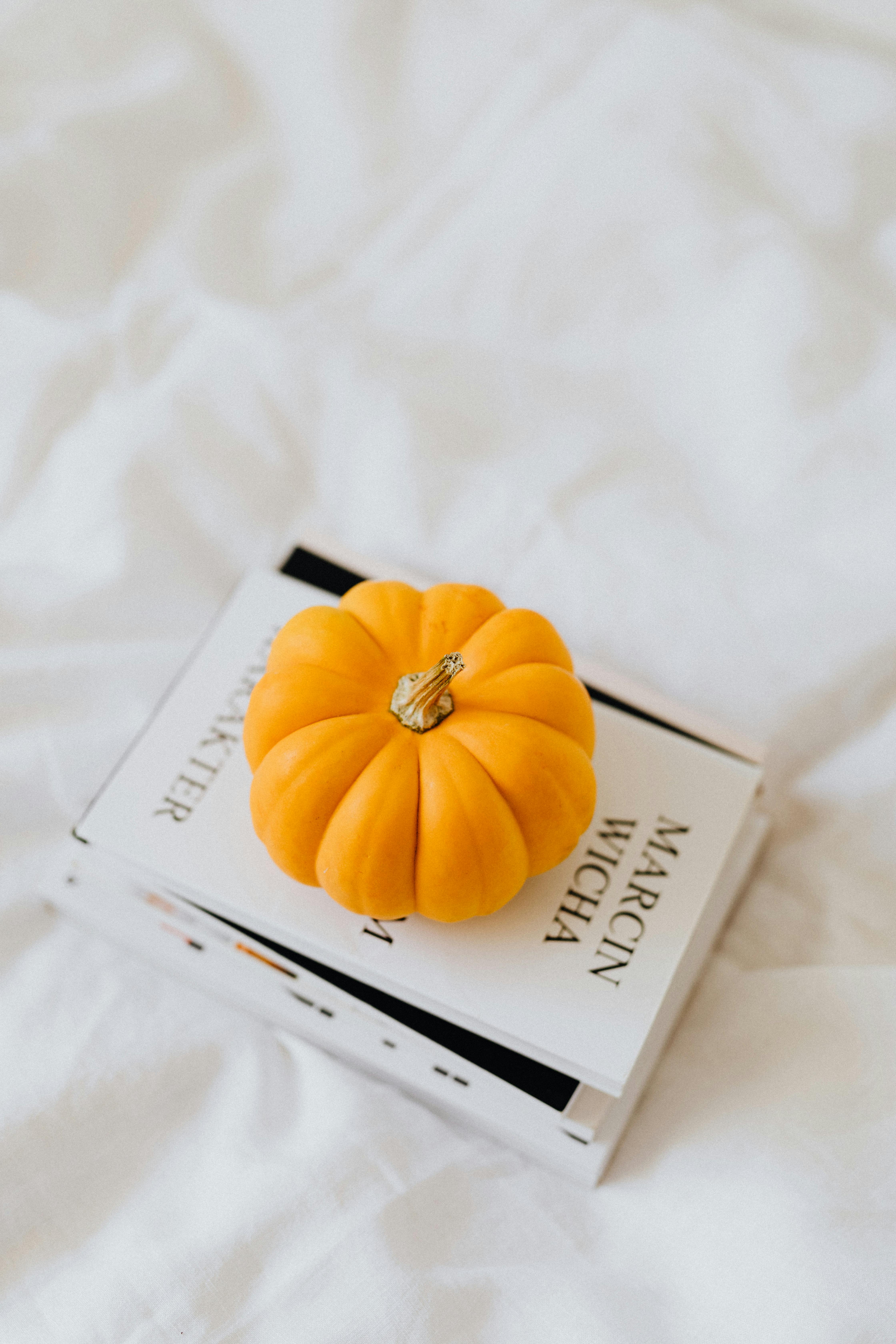 Free Charming image of a small pumpkin placed on books, capturing a cozy, autumn-themed aesthetic. Stock Photo