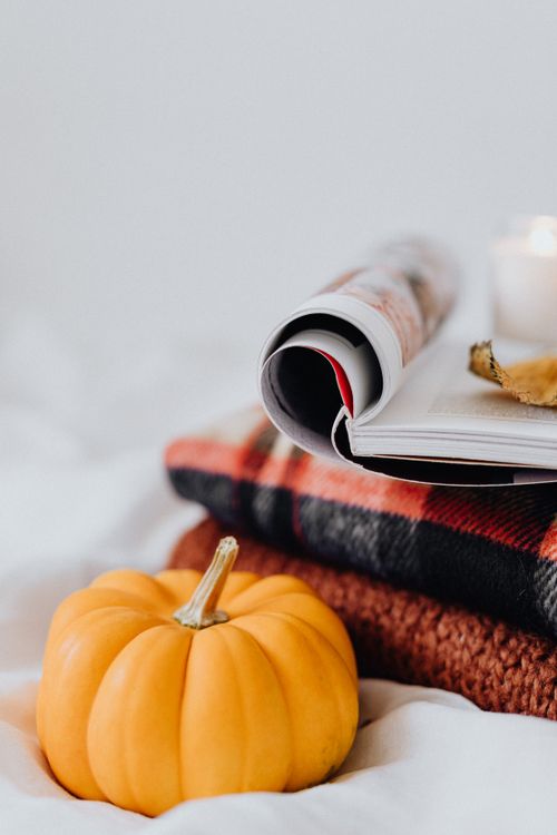 Free Warm autumn scene featuring a pumpkin, cozy fabrics, and a rolled magazine, perfect for fall vibes. Stock Photo