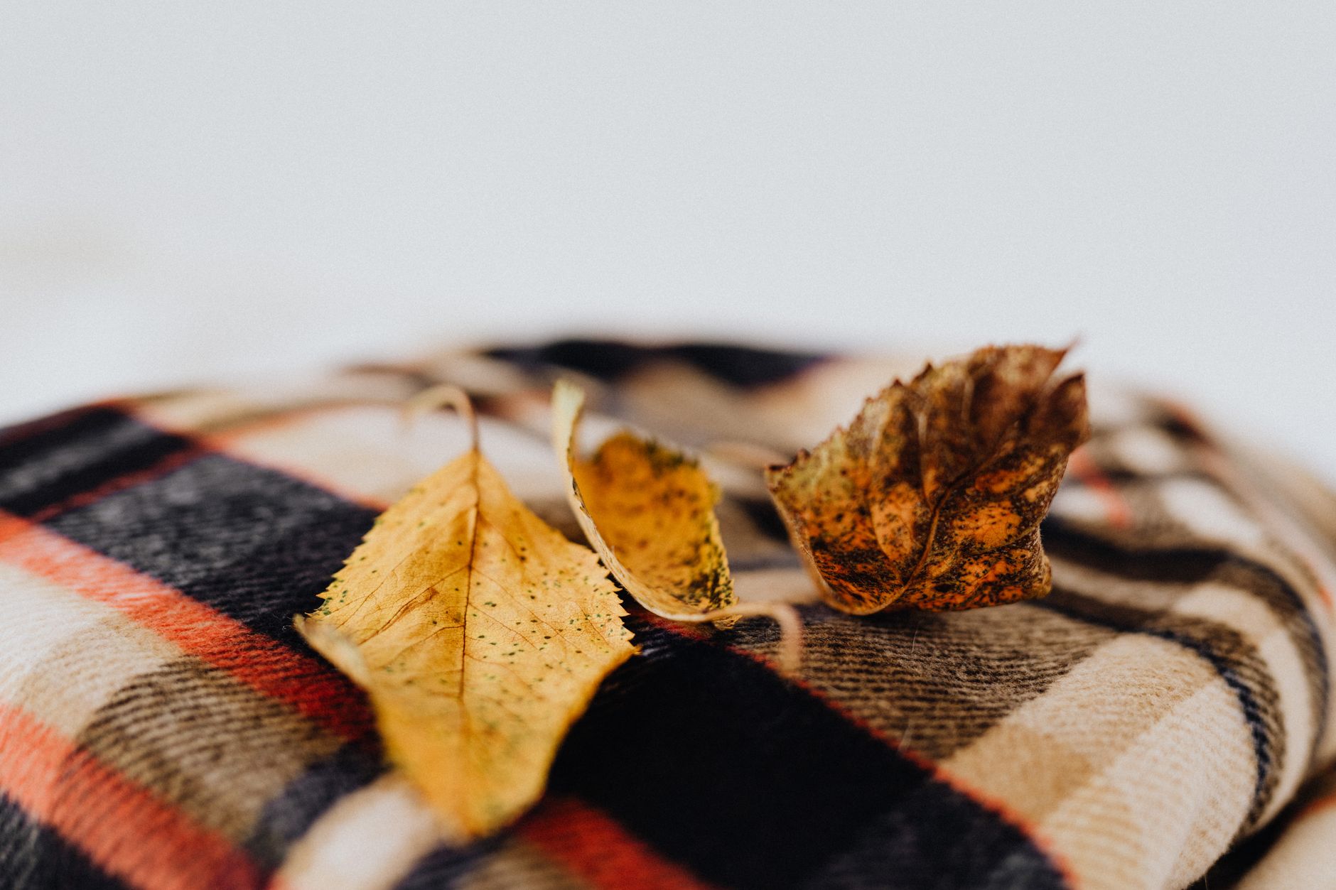 plaid api