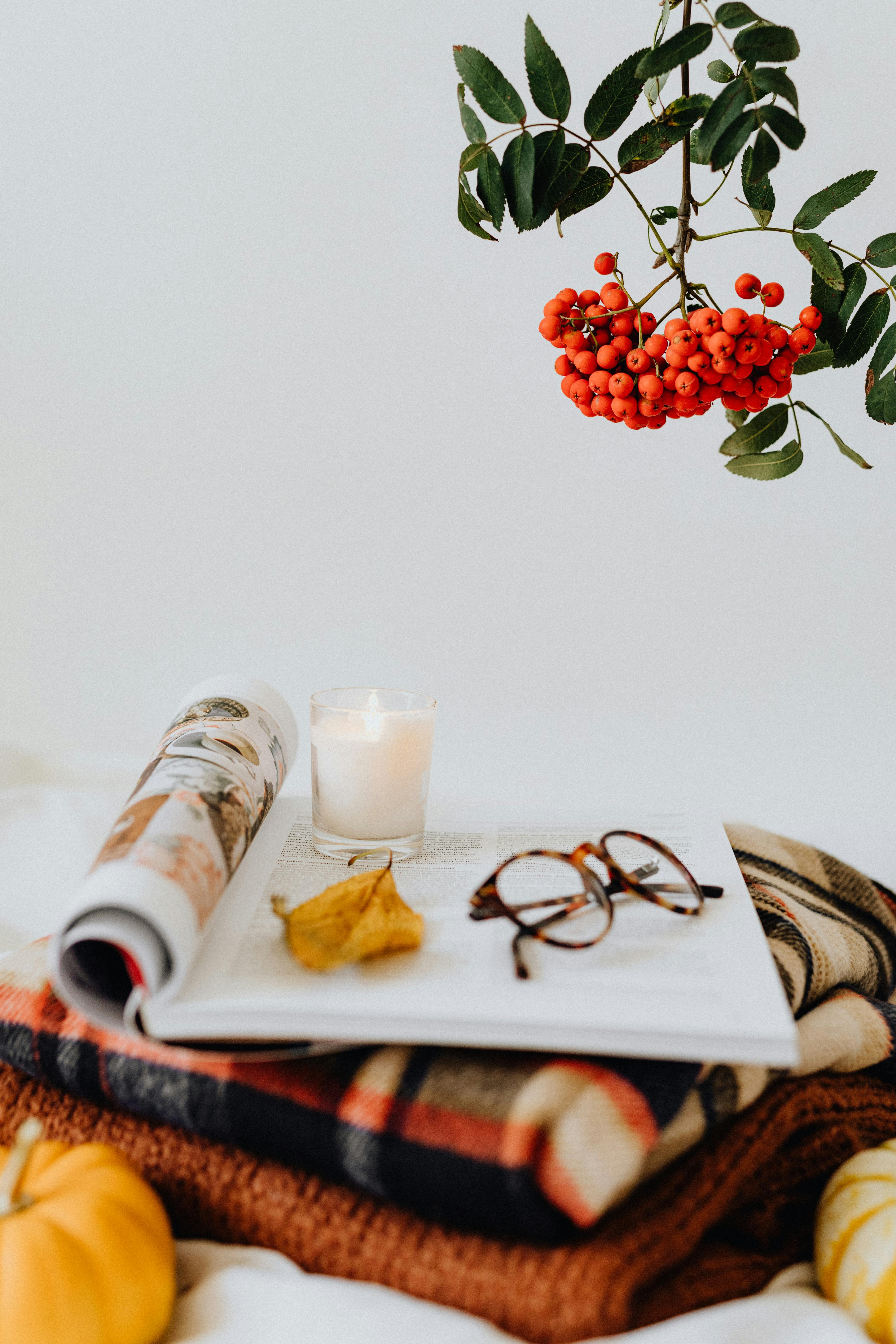 温暖的秋天，配有蜡烛、眼镜、摊开的书和鲜艳的罗望子，非常适合营造舒适的秋季氛围