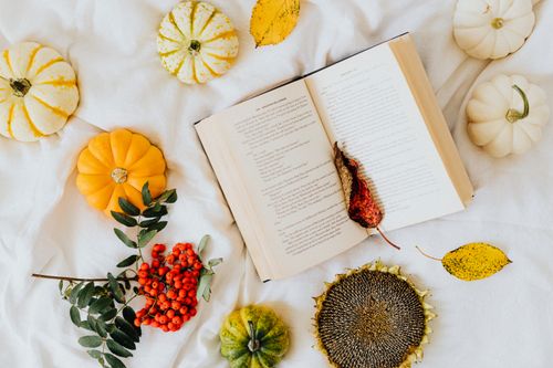 Free Overhead view of autumn leaves, pumpkins, and open book creating seasonal ambiance. Stock Photo