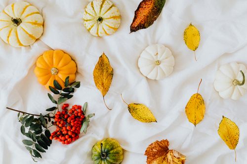 Free Flat lay of pumpkins, leaves, and berries on white fabric, capturing autumn's essence. Stock Photo