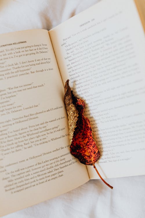 Brown Dried Leaf on an Opened Book 