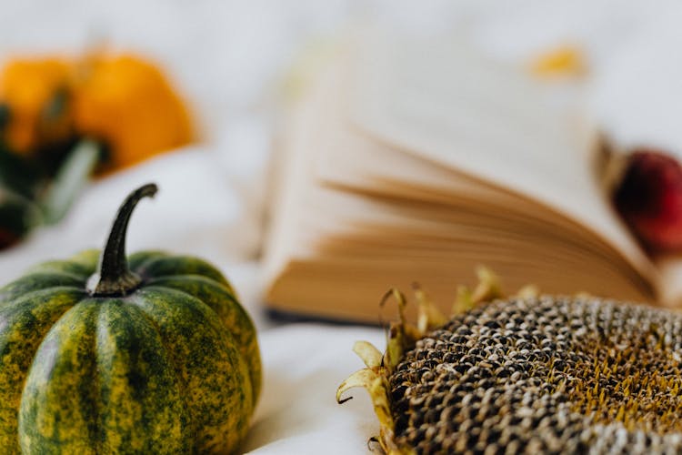 Close-up Photo Of Dried Sunflower And A Pumpkin