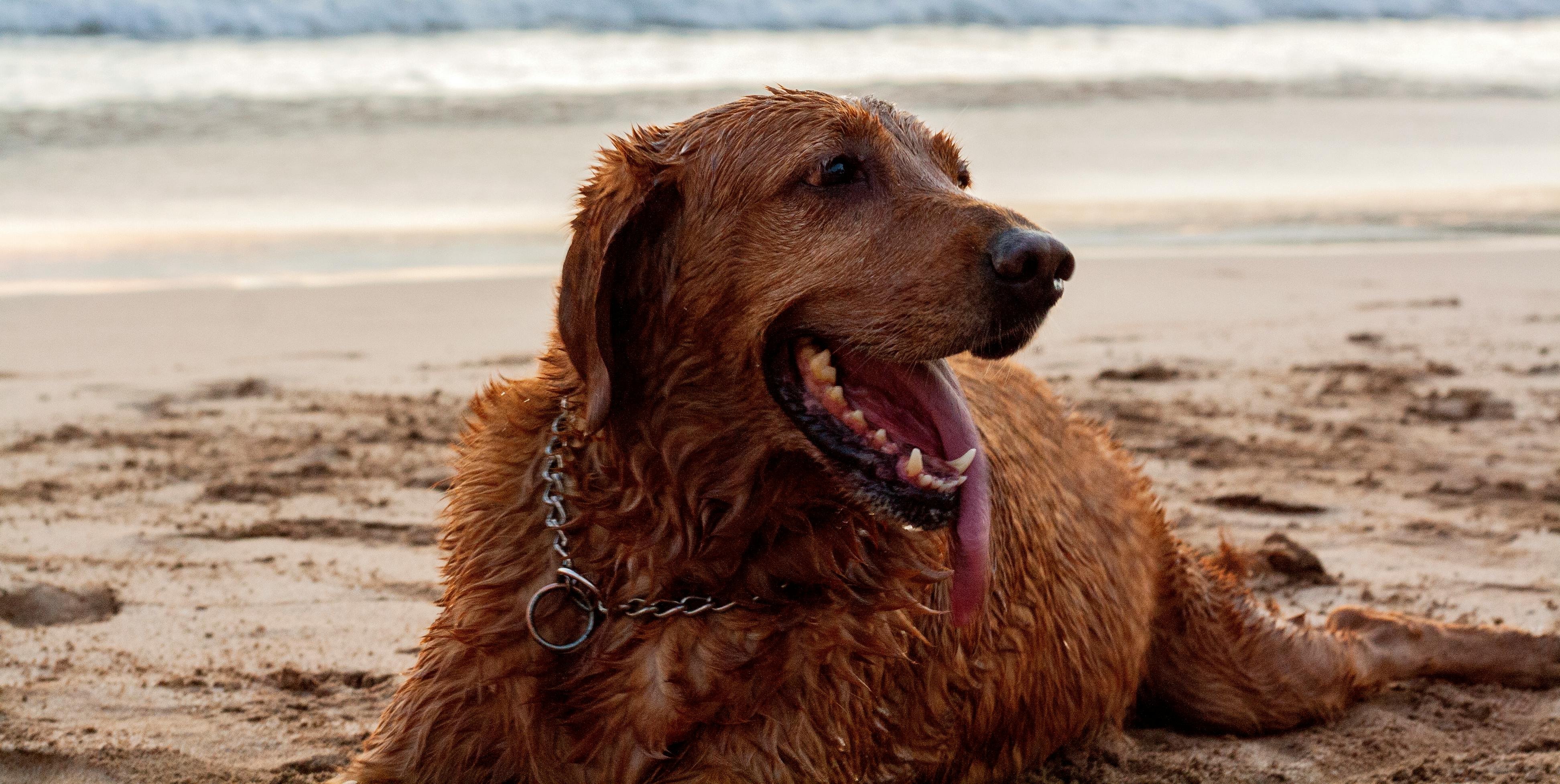 A person working on a laptop with SEO graphs on the screen, representing blog SEO strategies.