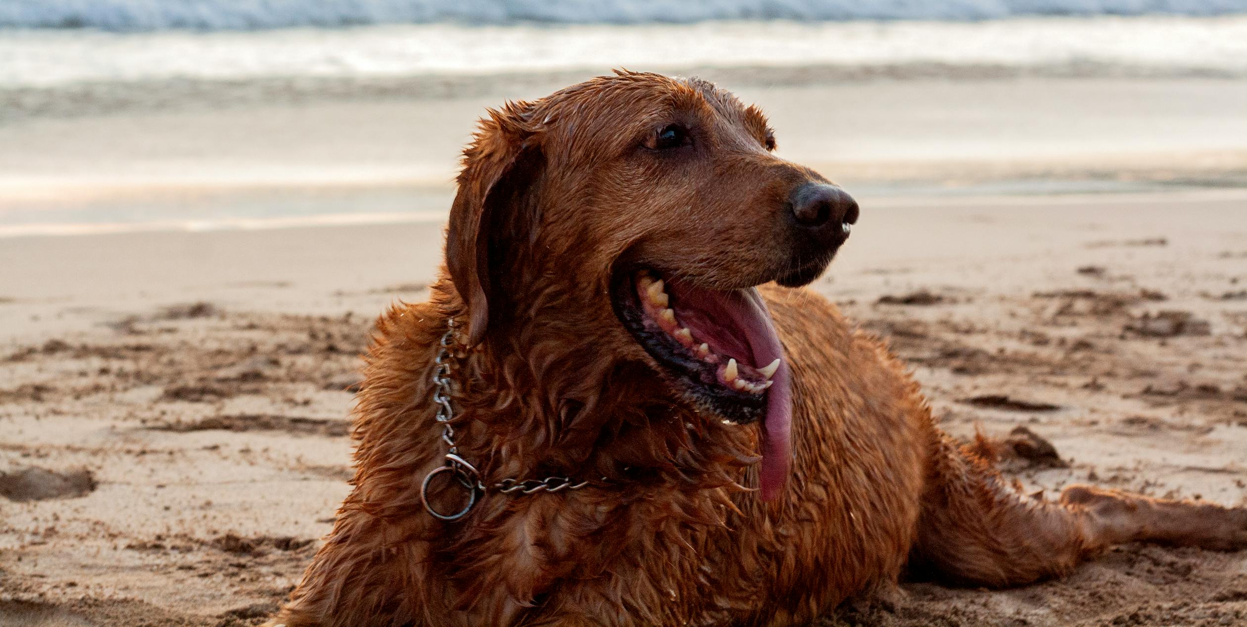 A person working on a laptop with SEO graphs on the screen, representing blog SEO strategies.