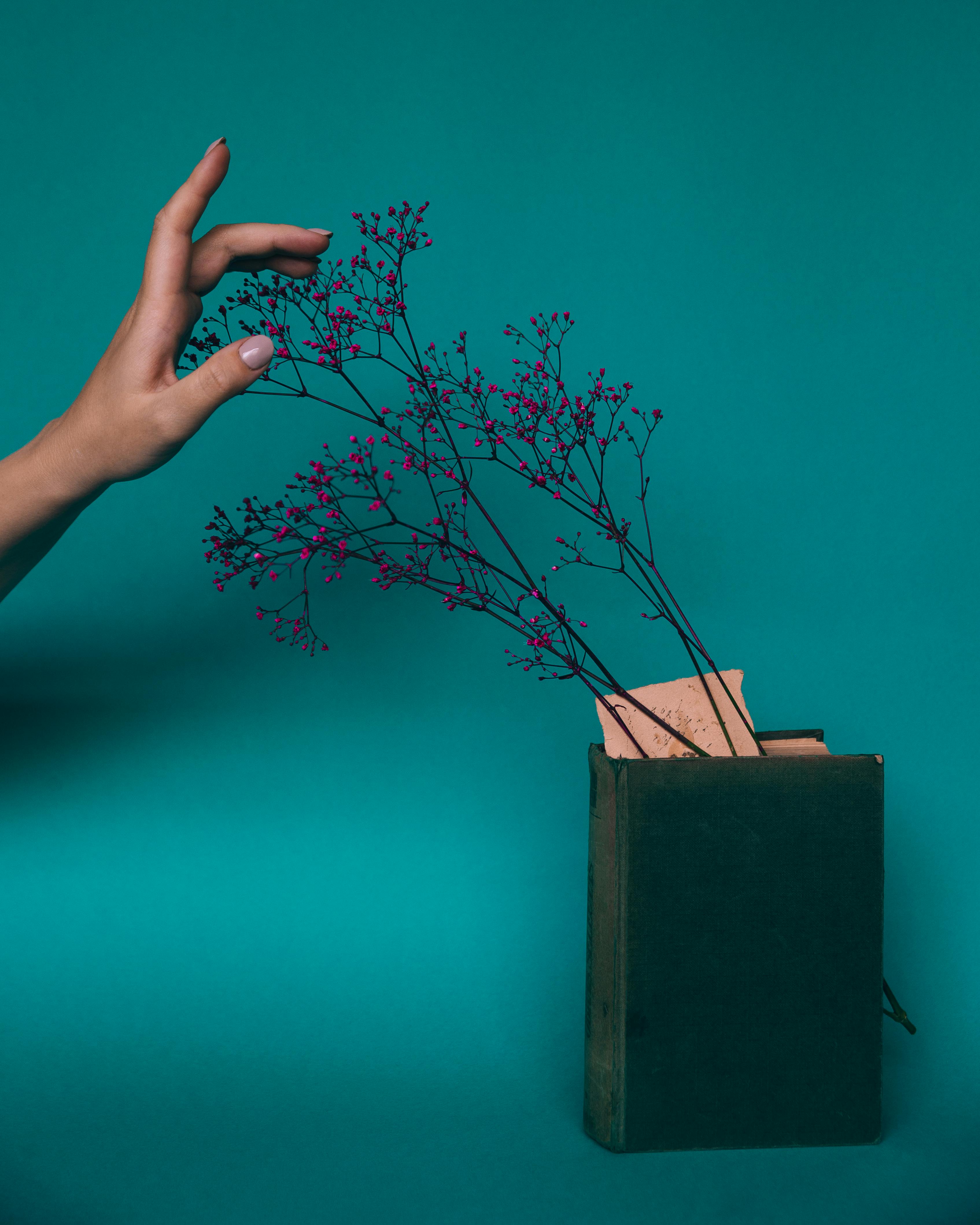 Crop unrecognizable female touching thin delicate flowering twig laced in book against blue background