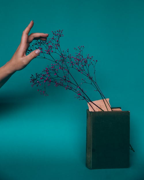 本に置かれた咲く小枝に触れる匿名の女性