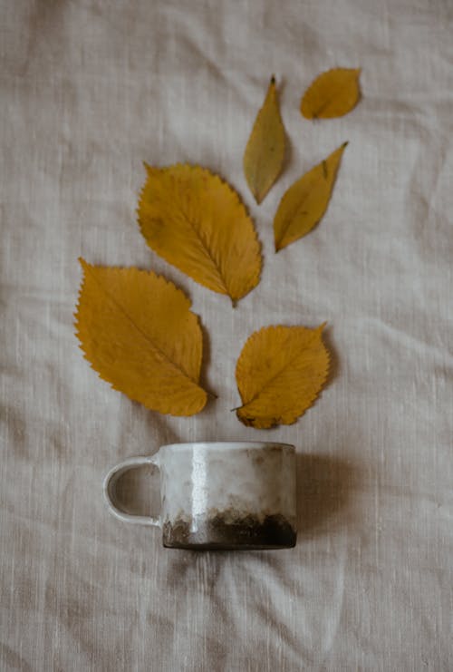 Fall Leaves and Ceramic Mug on a Textile 