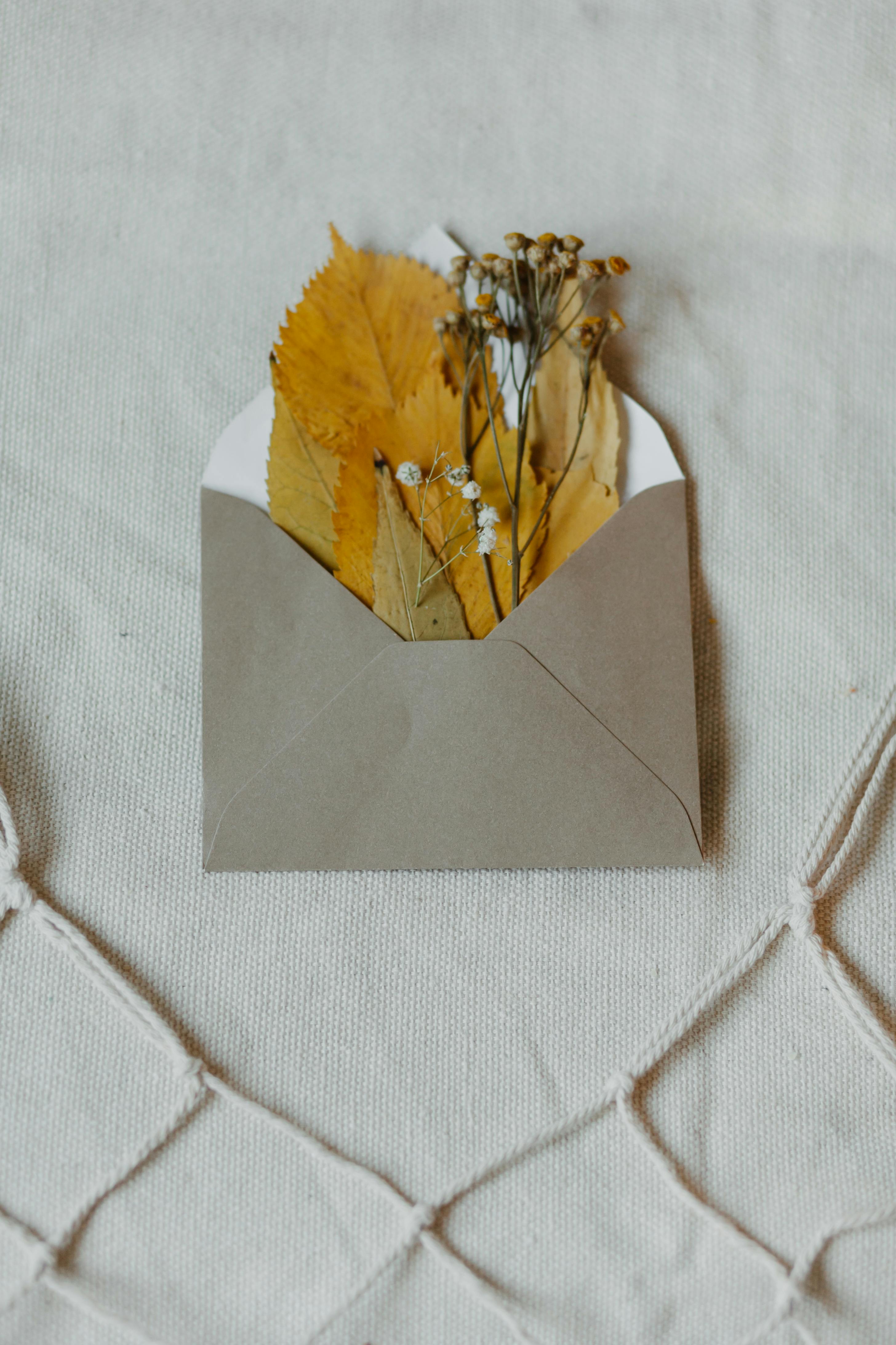 乡村信封中，干燥的叶子和花朵在纺织品背景上呈现出美学排列