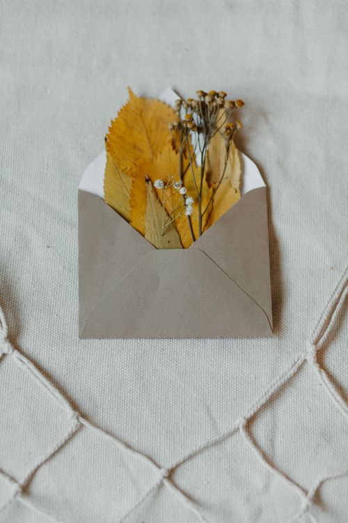 Free Aesthetic arrangement of dry leaves and flowers in a rustic envelope on a textile background. Stock Photo