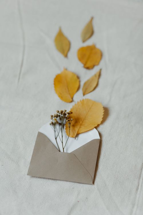 Free Artistic still life of autumn leaves emerging from an envelope on linen. Stock Photo