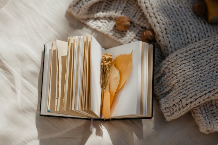 Dried Leaves On An Opened Book 