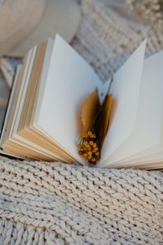 翻开一本书，将干花和树叶在针织毯上艺术地摆放，唤起一种质朴而舒适的感觉