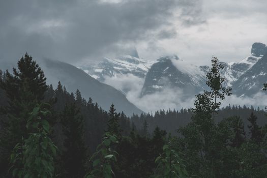 Breathtaking view of misty mountains and forest, capturing nature's serene beauty.