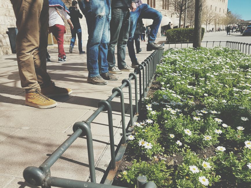 Un grupo de personas caminando por una calle de la ciudad junto a un lecho de flores en flor en un día soleado.