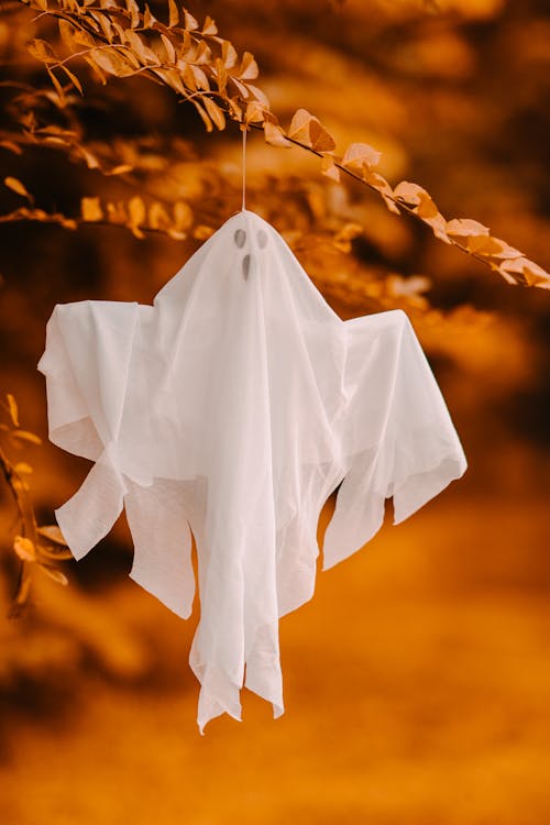 Small decorative ghost in white cape hanging on tree sprig on blurred background in autumn park during holiday celebration in daylight