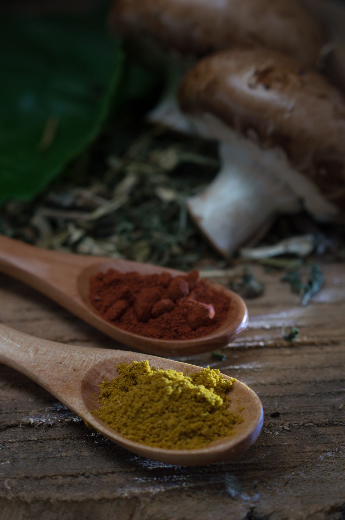 Mushroom extract powder on a wooden spoon, representing lion's mane supplements