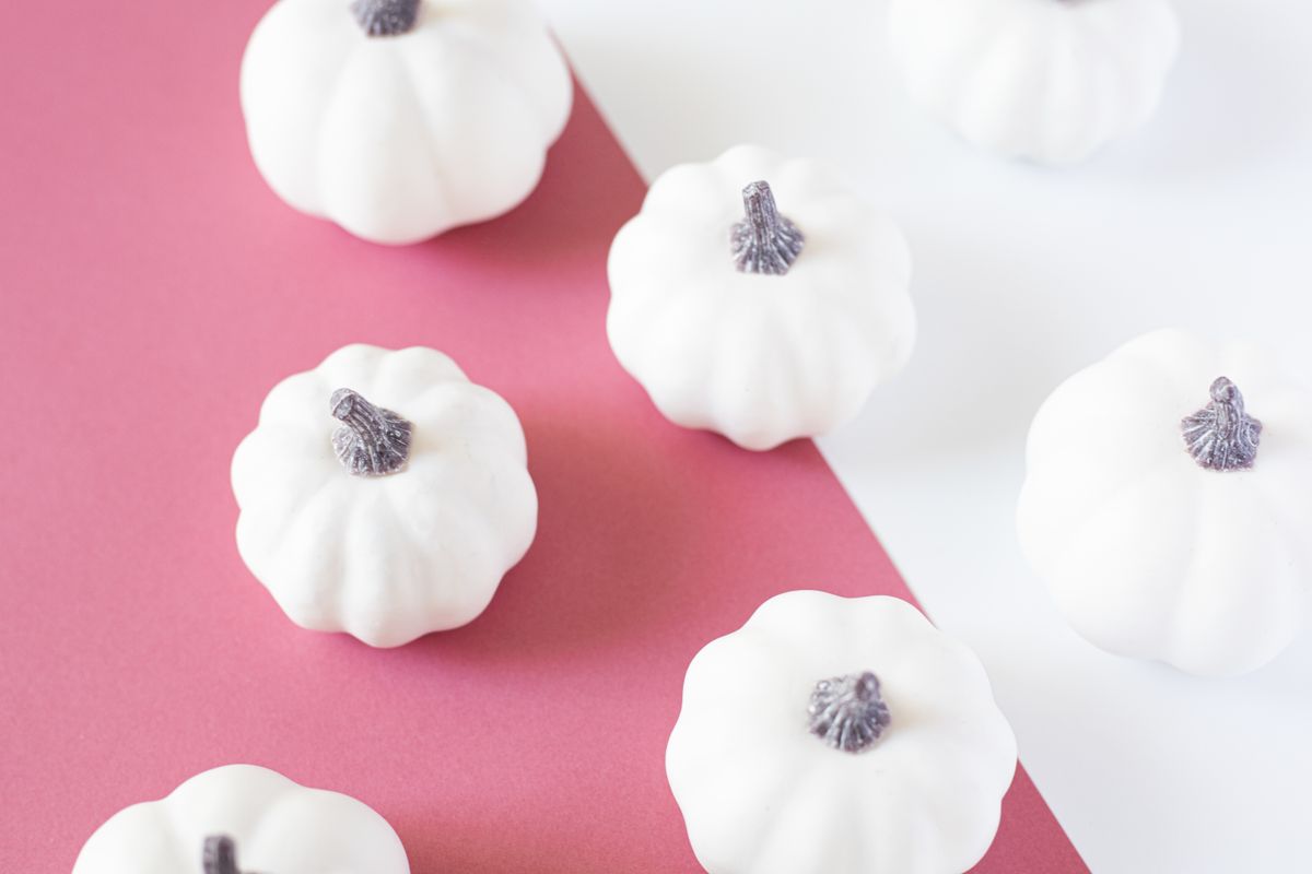 Minimalist image of white pumpkins on a pink and white background, perfect for autumn themes. Stock Photo.