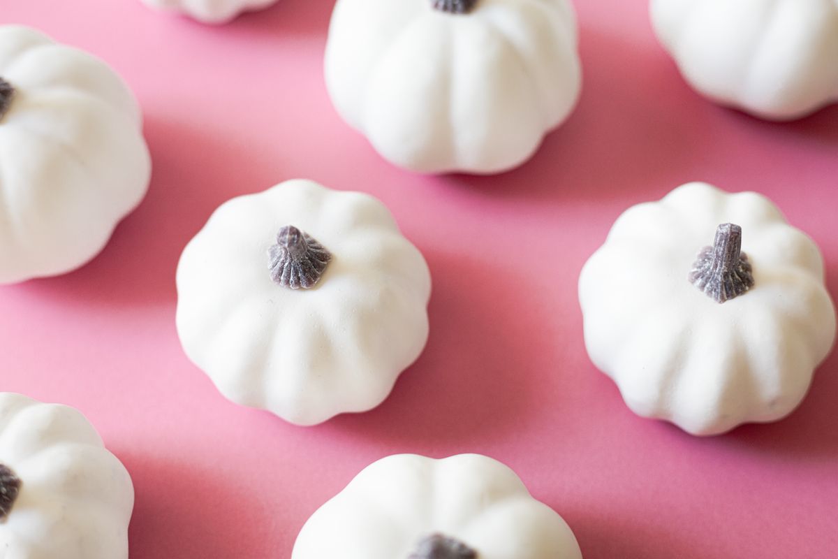 Close-up of white mini pumpkins arranged on a pink background, creating a soft autumnal vibe. Stock Photo.