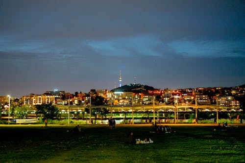 Free stock photo of city lights, city night, han river