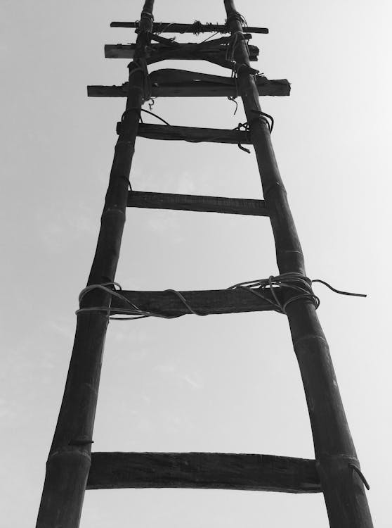 Free Black Bamboo Ladder during Daytime Stock Photo