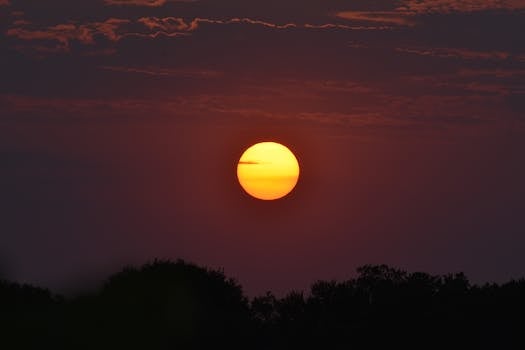 Captivating sunset with silhouetted trees creating a peaceful landscape.