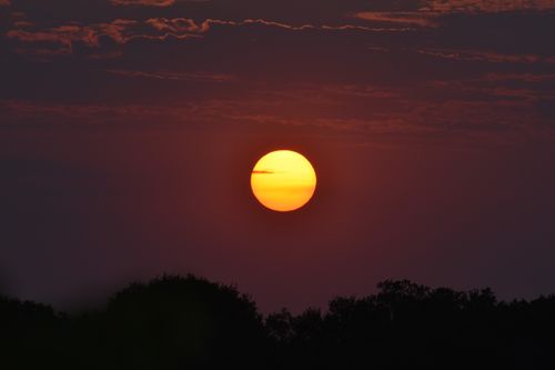 Free Captivating sunset with silhouetted trees creating a peaceful landscape. Stock Photo