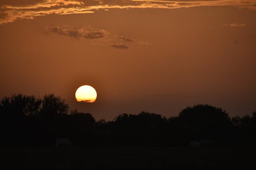 Capture of a dramatic sunset with tree silhouettes, creating a peaceful and warm scene.