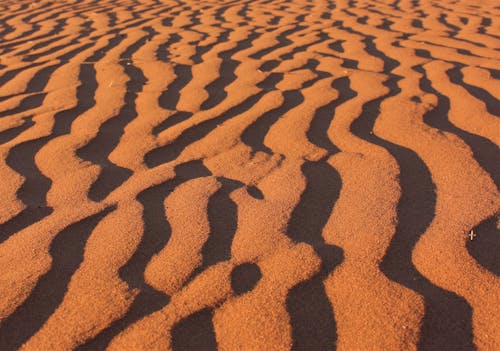 Immagine gratuita di deserto, duna di sabbia, fotogramma intero